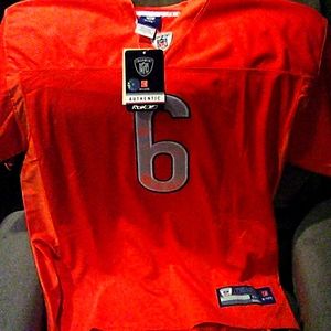 Jay Cutler jersey